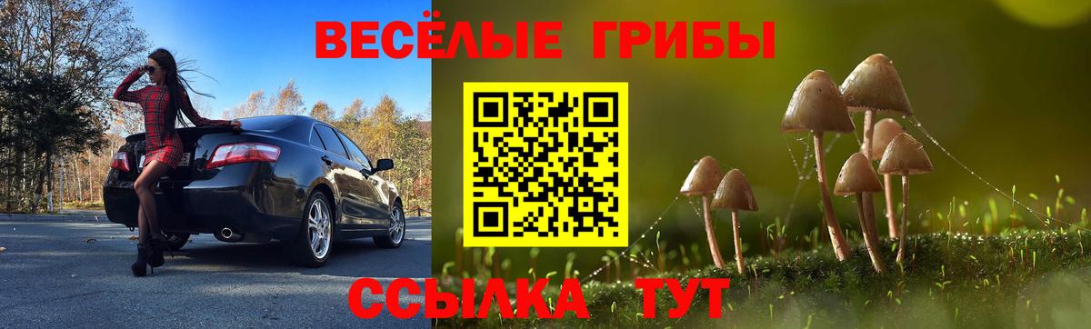 Галлюциногенные грибы прущие грибы  Вход с VPN  Михайловка  Псилоцибиновые грибы Cubensis 