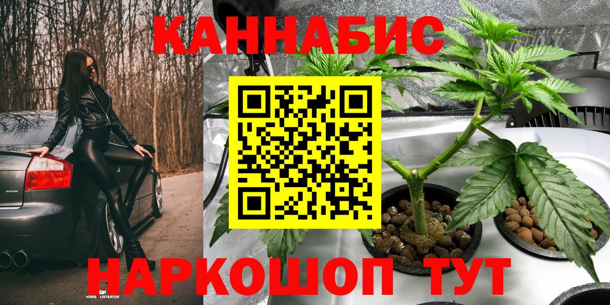 Каннабис план Михайловка